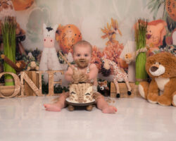 Jungle dieren