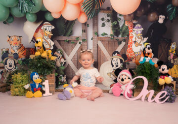 Donald duck Donald duck