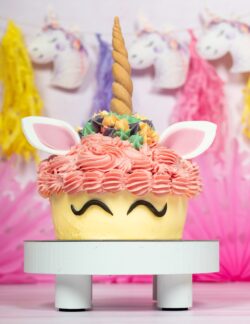 unicorn
