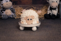 schaap