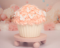 vlinder cupcake