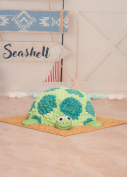 schildpad taart