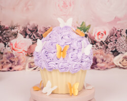 paarse vlinder cupcake