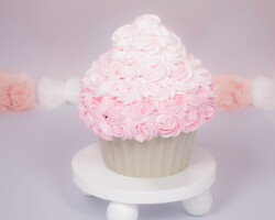 2 kleuren roze cupcake