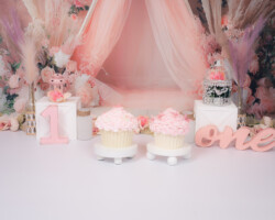 twins cupcake